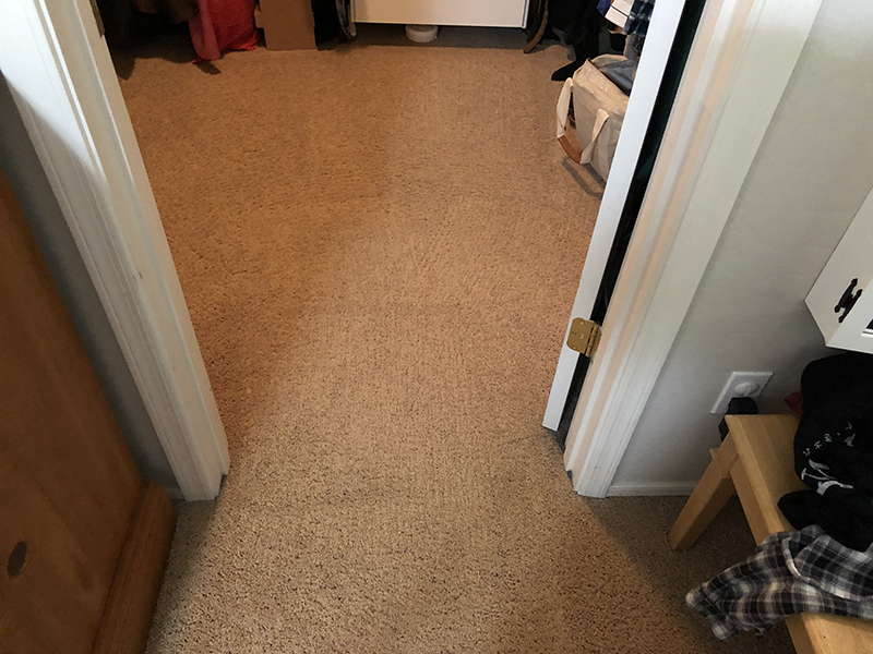 Maricopa Best Carpet and Tile Cleaning CopaClean